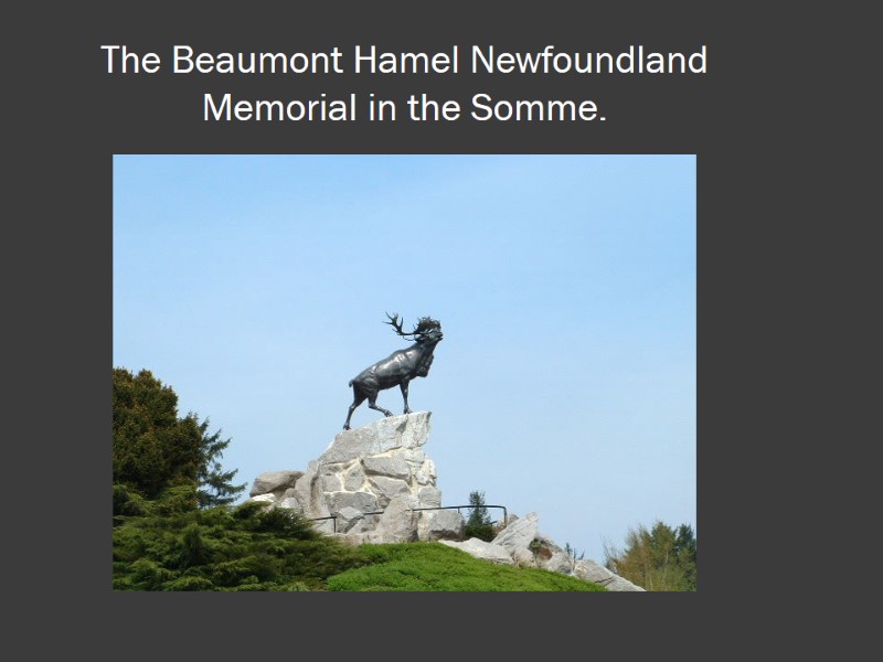 The Beaumont Hamel Newfoundland Memorial in the Somme.